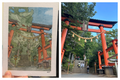 Custom Architecture Painting
